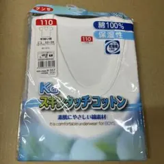 Item thumbnail for item 93a269de-d178-4951-b11e-435c065bc454