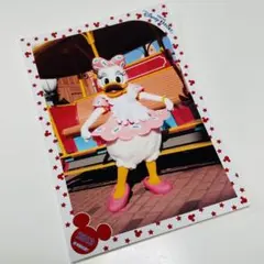 スペシャルフォト　ディズニーランド　トゥーンタウン2013 デイジー　匿名配送