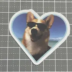 【QQQ-103】防水ステッカー ビーチ 南国 ハワイ 犬 ウェルシュコーギー