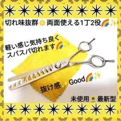 Item thumbnail for item 87638133-797c-42a0-b5c9-db31a8dff97c