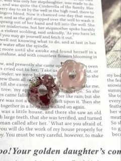赤ピンク　花ピアス　ドライフラワー入り