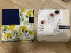 Item thumbnail for item f280305d-cd17-49eb-acb8-e45421cfb71e