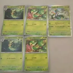 ポケモンカードセットジャローダ