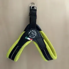 Item thumbnail for item 99c853b6-bf8c-423a-8690-43874b3bd976