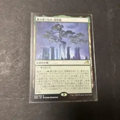 2026年最新】母聖樹の人気アイテム - メルカリ