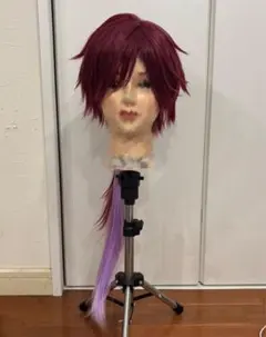 ローレン・イロアス 通常衣装キャラウィッグ セット済みのサムネイル