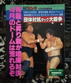 Item thumbnail for item ef2483b0-4d16-43ce-b787-8db0378b7bf6