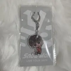 【匿名発送】SnowMan 向井康二 すのチル アクリルキーホルダー