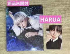 【新品未開封】&TEAM Back to Lifeソロジャケ HARUA ハルア