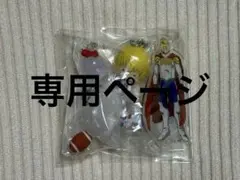 すけたぶ様専用ページ