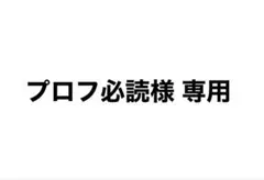 プロフ必読様 専用 ゼルダの伝説 ムジュラの仮面