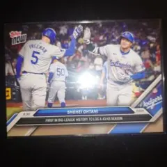 y*p様 ToppsNOW　大谷翔平 　43/43