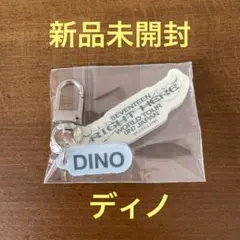 SEVENTEEN カプセルトイ ガチャガチャ アクリルキーホルダー ディノ