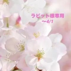☆ラビット様専用☆ハンドメイドシュシュ ピンク薔薇×苺みるく