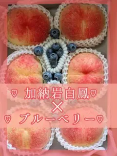 加納岩白鳳(６〜７玉)♡ブルーベリー♡のサムネイル