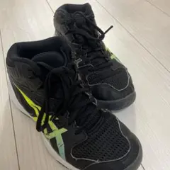 ASICS バスケットボールシューズ 22.0cm