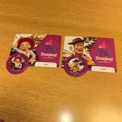 ディズニーランド70周年 Jessie Woody キャラクターカードセット