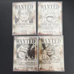 ワンピース カード 手配書 観賞用