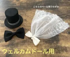 Item thumbnail for item 5e137824-8423-4b68-84df-39c02f4b30f0