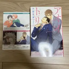 アオイトリ　木原音瀬 2020年新刊案内付き
