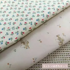 Item thumbnail for item 21ba703d-1e7e-4bae-a170-8bb0744a0935