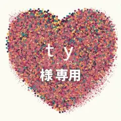 ｔｙ様　専用ページ