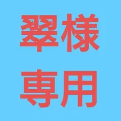 ★(【翠】お値段交渉お気軽に✨️様専用！)おまとめ購入6点！