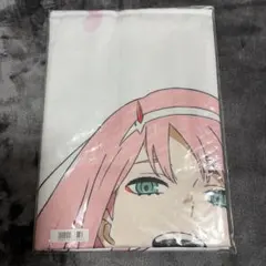 アニメ LD リヨン伝説フレア スペシャルカップリング限定盤 LD BOX