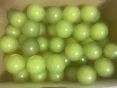 2025年最新】アラビアンジュエルの人気アイテム - メルカリ