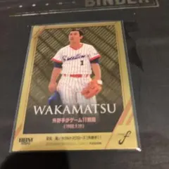 Item thumbnail for item 9de439c8-d9ab-4147-8d8e-5bc95451f596