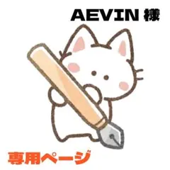 AEVIN様 リクエスト 4点 まとめ商品