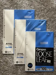 Item thumbnail for item 206a8239-3238-4afa-881d-bca6780f424a