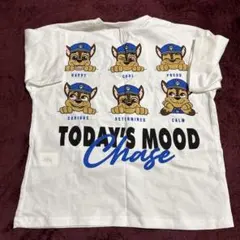 ZARA パウパトロール　チェイス　tシャツ　新品のサムネイル