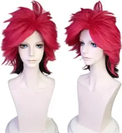 2026年最新】hide コスプレの人気アイテム - メルカリ