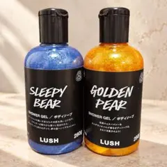 最終SALE‼️ LUSH INCANTATION シャワージェル280g 2本 最終SALE‼️ LUSH INCANTATION シャワージェル280g 2本 - メルカリ