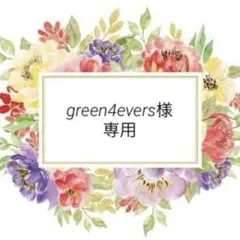 green4evers様 リクエスト 2点 まとめ商品