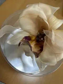 Item thumbnail for item 399b76a3-c52a-4130-b5fe-deee618dd37b