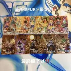 SDV8-PUR・DPURフルコンプセット‼️