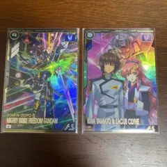 N  まとめ買い歓迎　(プロフ必読)様 リクエスト 2点 まとめ商品