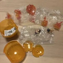 ワンピの実 GRAND CAPSULE Vol.02 ノーマルカラー