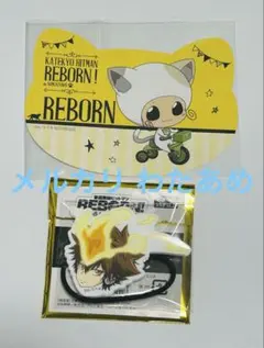 【即購入可】家庭教師ヒットマンREBORN！ ナンジャ 綱吉セット