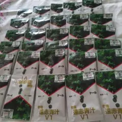 Item thumbnail for item 5c8ec641-abf6-41ea-8a8b-3b3804947920