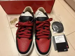 Nike Air Jordan 1 エレベート 24.5cm