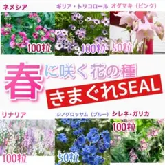 mayu☆プロフィール見てくださいね☆様 リクエスト 3点 まとめ商品