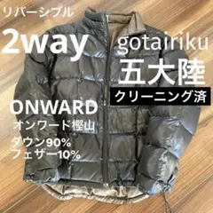 値下げ極美品‼️ メンズ人気ブランド　五大陸 ダウン　ジャケット　リバーシブル　Mのサムネイル
