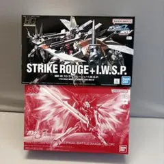 HG ストライクルージュ+I.W.S.P. &デスティニーSpecII 最終決戦 - メルカリ