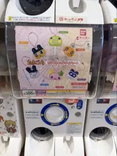 たまごっち ガチャ　コンプ