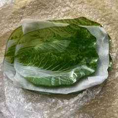 Item thumbnail for item 31e81b47-fe6c-46e0-8545-d2df18141ec4