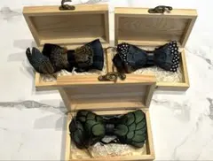 Item thumbnail for item a5662a46-d000-456b-9ea2-18b72f0b27c9