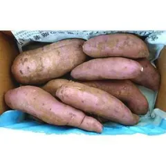 M89様専用自然栽培熟成サツマイモ幻の芋太白・アヤ紫６ｋｇ